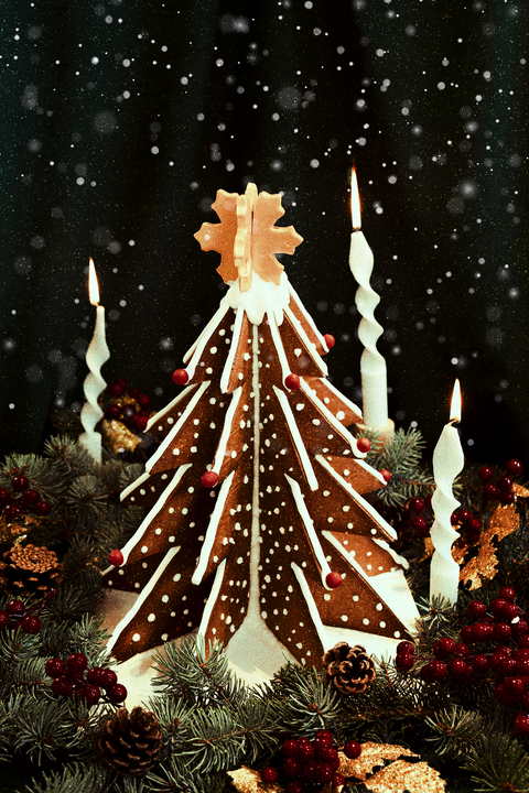 ZENCEFİLLİ KURABİYE AĞAÇ