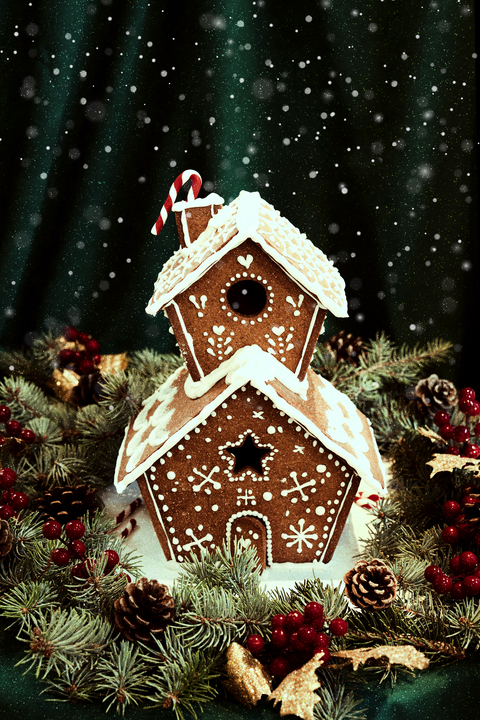 ZENCEFİLLİ KURABİYE EV